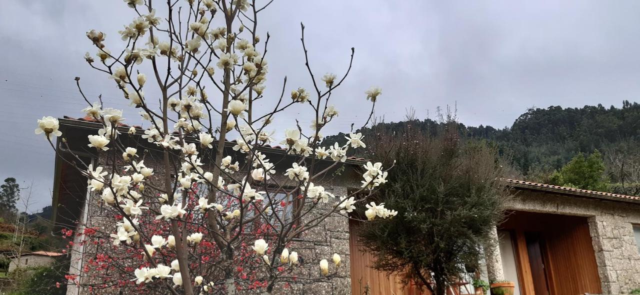 Cottage, Casa Do Laranjal - Near 吉尔斯 外观 照片