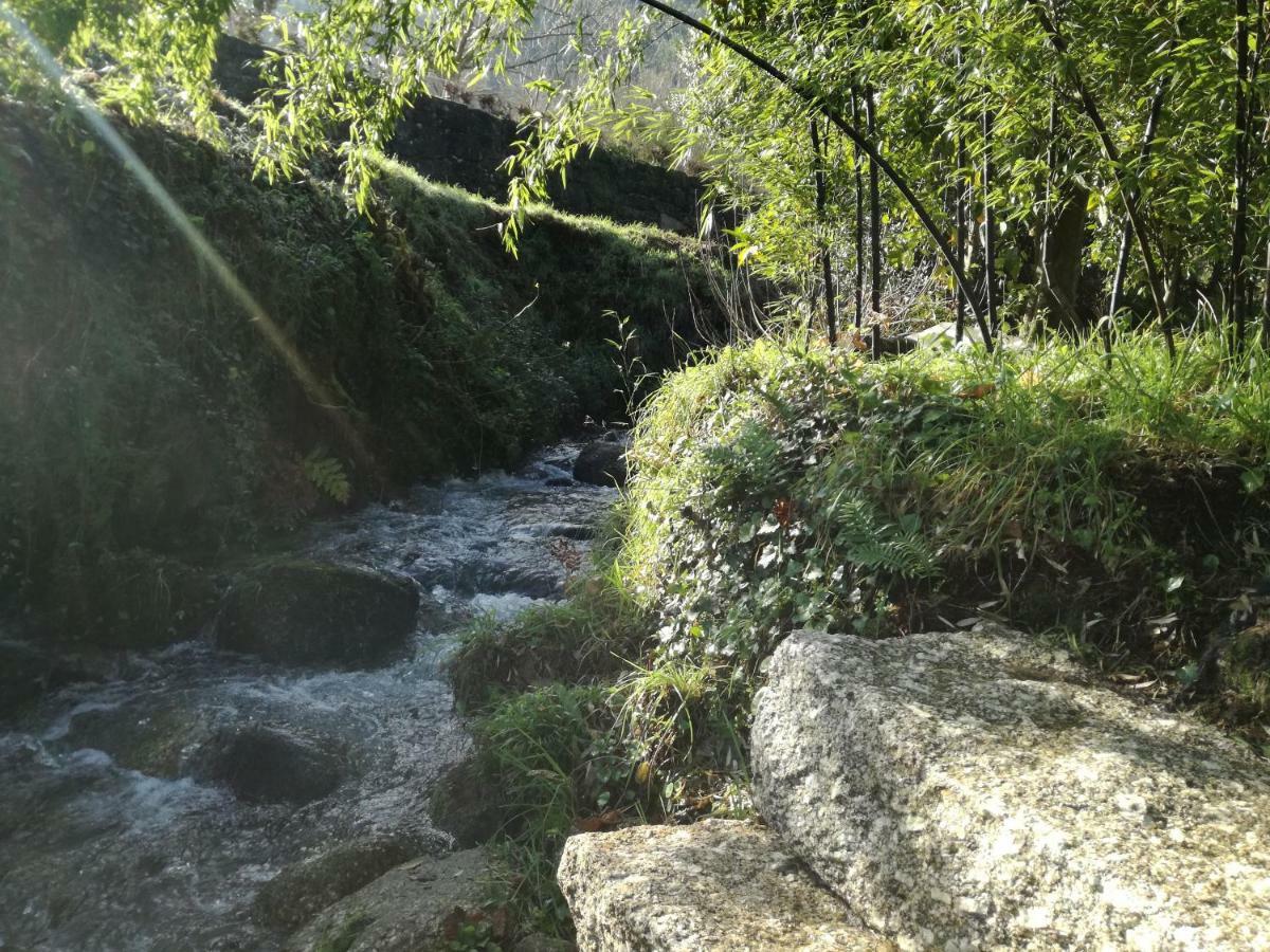 Cottage, Casa Do Laranjal - Near 吉尔斯 外观 照片